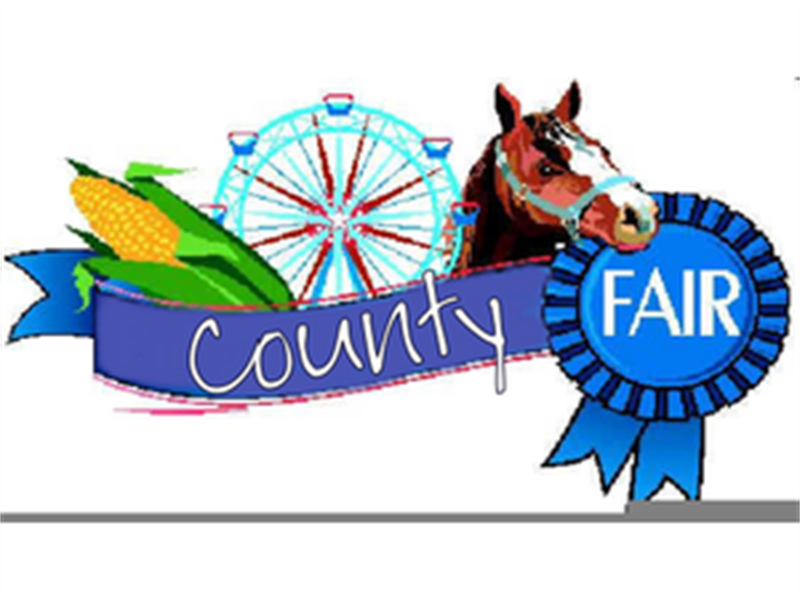 Fair Logo